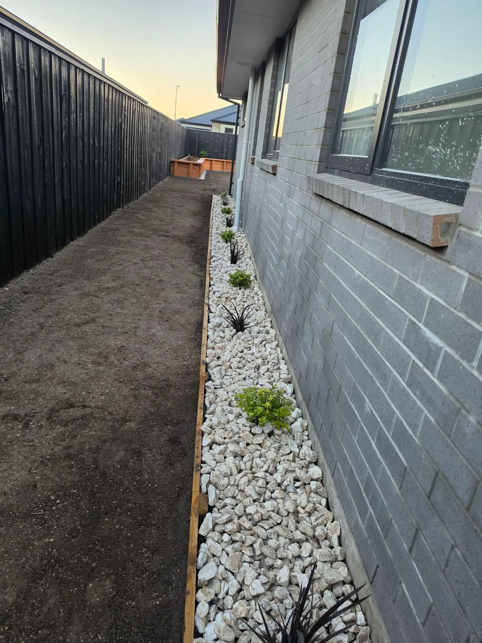 Side yard landscaping with black timber fence at 25 Derbridge Street, Christchurch